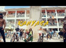 diamond platnumz kanyaga video6039024944808429874