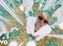 Zlatan Ibile Shotan Video