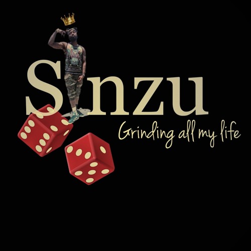 [Video] Sinzu — Grinding All My Life