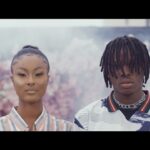 Fireboy-DML-King-Video