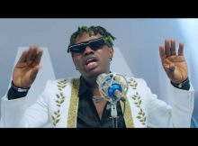 Zlatan Ibile Bolanle Video 768x432