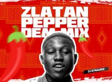 DJ Kaywise Pepper Dem Mix 585x585