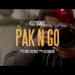 Kizz-Daniel-Pak-N-Go-Teaser-696×392