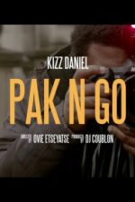 Kizz Daniel Pak N Go Teaser 696x392