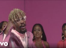 Ycee Dakun video