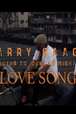 Larry Gaaga Love Song Video