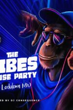 DJ Consequence The Vibes House Party The Lockdown Mix