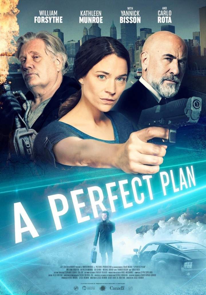 DOWNLOAD: A Perfect Plan – 2020 Hollywood Movie