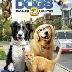 Cat-Dogs-3