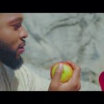 Flavour-Omo-Temi-Video