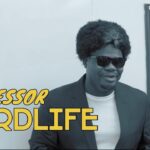 Mr-Macaroni-Professor-Hardlife