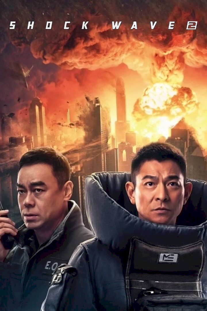 DOWNLOAD Shock Wave 2 – 2020 Chinese Movie