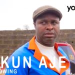 Ilekun-aje