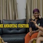 The-Annoying-Visitor