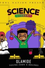 Olamide Science Student Art