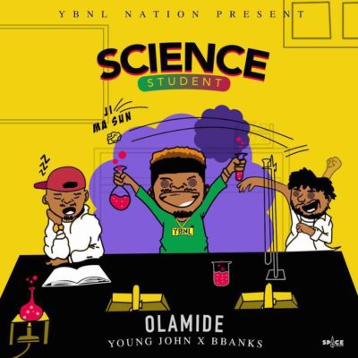 Olamide Science Student Art