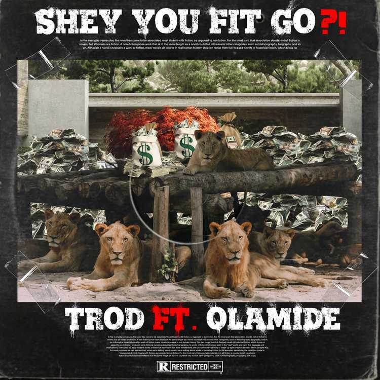 TROD – Shey You Fit Go? ft. Olamide