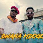 Bwana-Mdogo