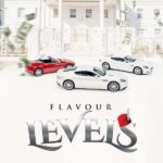 Flavour-Levels