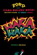 Waka Waka Remix