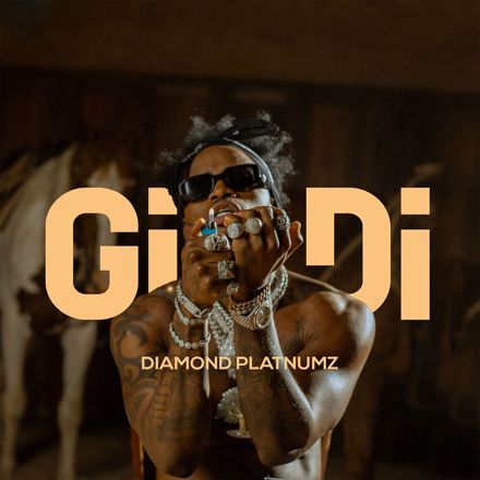 Diamond-Platnumz-Gidi2