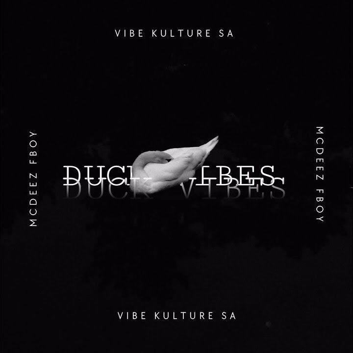 Vibekulture SA – Duck Vibes