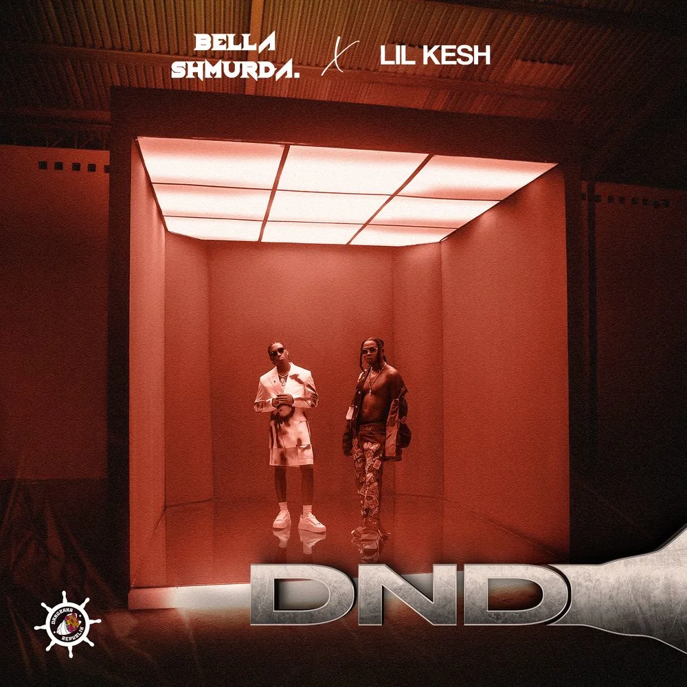 Bella-Shmurda-DND