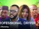 ProfessionalDriver2