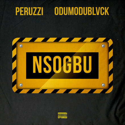 Peruzzi ft. OdumoduBlvck – Nsogbu