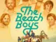 thebeachboys